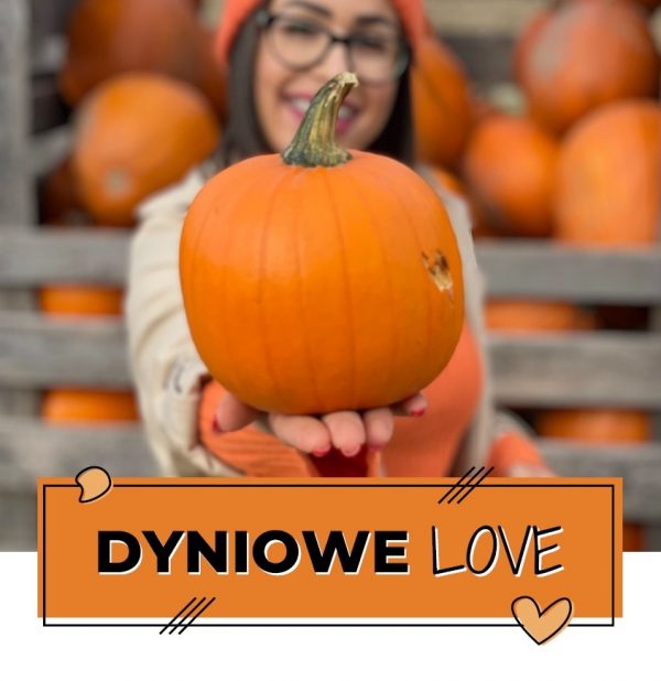 DYNIOWELOVE foodbook